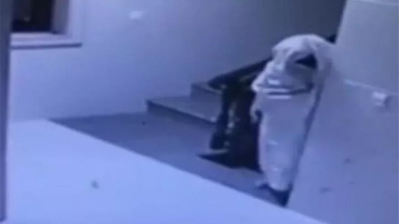 أغبى لص ممكن تشوفه.. غطي نفسه بستارة البيت ولم يسرق شئ فتم القاء القبض عليه