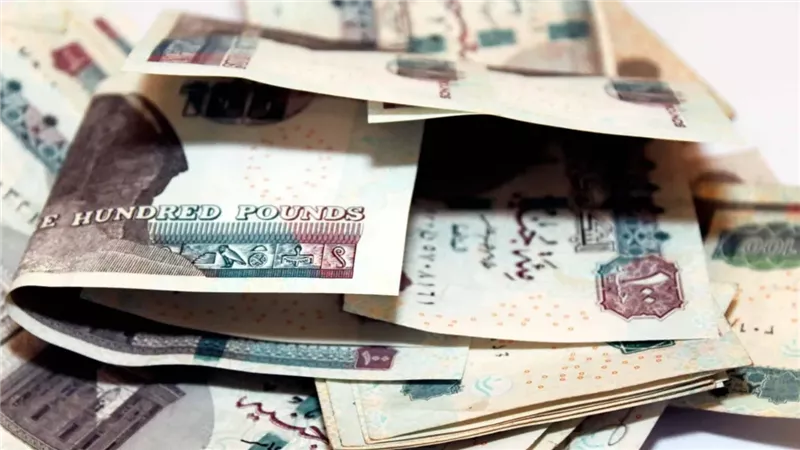 تفاصيل ومزايا أفضل حساب توفير في البنك العربى الافريقى قبل اجتماع الفائدة الجديد بعائد يصل إلى 18%