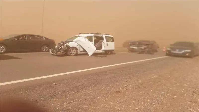 عاصفة ترابية تضرب أسيوط وتتسبب بسقوط أشجار وحريق وإصابات والمحافظ يرفع حالة الطوارئ 
