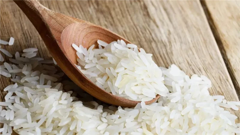 الارز والمانجو بقوا برخص التراب....نقيب الفلاحين يزف اخبار جديده ستسعد الملايين
