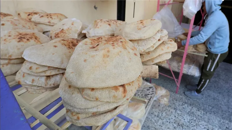 بعد زيادة السولار الأخيرة .. تفاصيل تهم الملايين بشأن أسعار الخبز السياحي والمدعم 