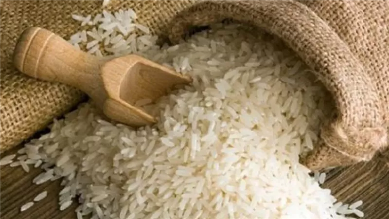 ولسه هيرخص كمان الشعبة تكشف السر وراء انخفاض أسعار الأرز هذه الأيام