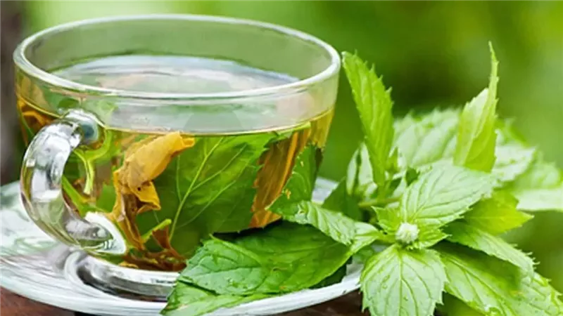 مشروبات طبيعية لتقوية المناعة في الأجواء الباردة لتجنب نزلات البرد والإنفلونزا