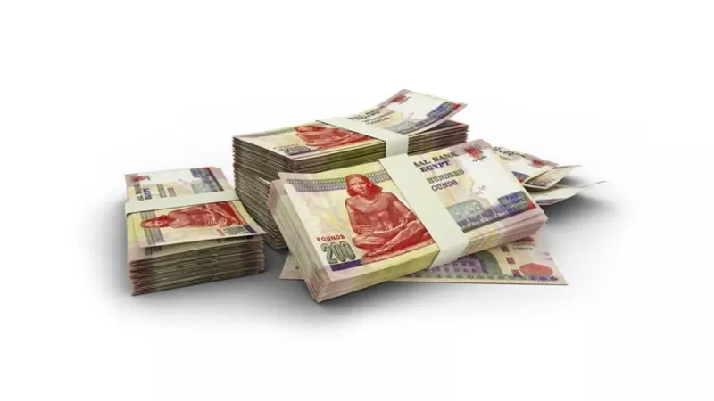 كيف تحصل على 1500 جنيه يوميا 5 بنوك تطرح أضخم شهادات استثمار 