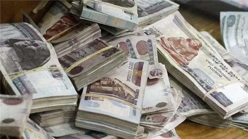 البنك العربى الافريقى الدولى يطلق مفاجأة سارة للمواطنين بـ العائد اليومي 