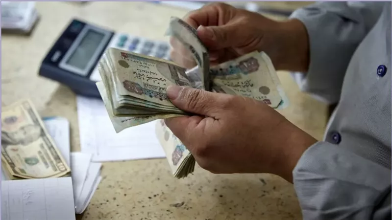 زيادة حوافز ومكافات وتحديد مواعيد العمل .. مفاجأة سارة للموظفيين تطبق خلال ايام 