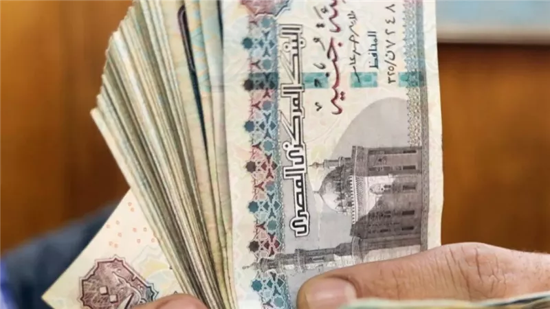 مليون مبروك ... الحكومه تزف بشرى سارة للموظفين وعلاوه جديده فى الطريق