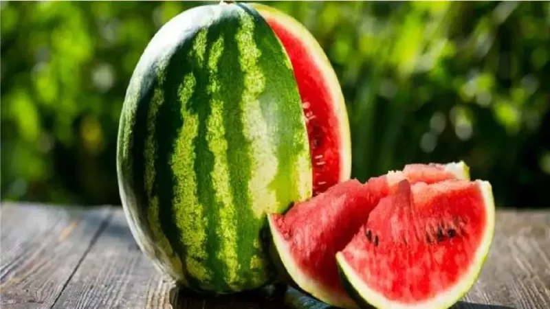 فئات عليها الامتناع فورا عن أكل البطيخ فورا لأنها سيؤدى إلى مشاكل واضطرابات صحية خطيرة