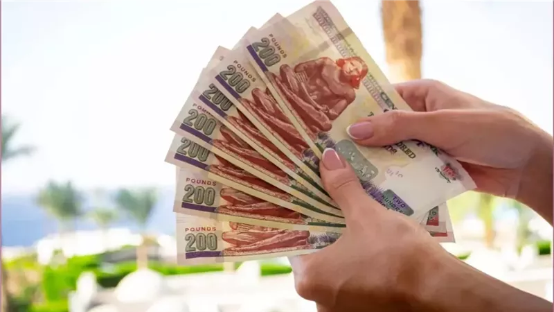 احصل علي دخل 250 جنيه شهريا اقوى استثمار في أكبر بنك حكومي مزايا شهادة ادخار البنك الأهلي 