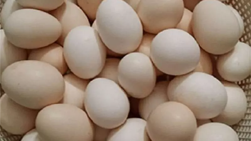البيض التركي نزل أسعار البيض المحلي في الأرض....بعد نزول الكرتونه ٤٥ جنية ننشر سعر البيض اليوم بالأسواق