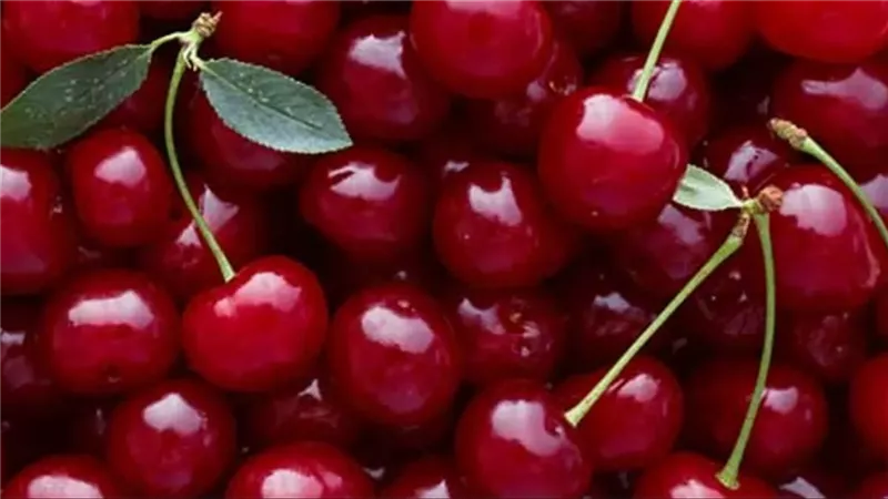 7 فوائد سحريه وغير متوقعة للكرز مشروب رياضي ومضاد حيوي طبيعي
