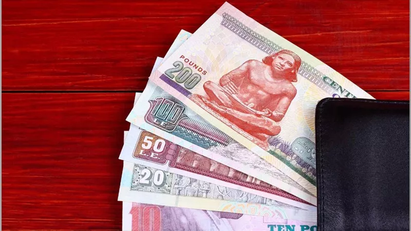 تفاصيل وشروط الحصول علي منحة الزواج من التأمينات 2024