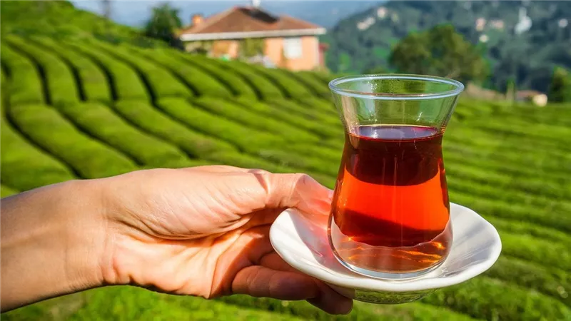 غير متوقع هذا ما سيحدث لجسم مرضى السكر والكوليسترول بعد شرب الشاي 