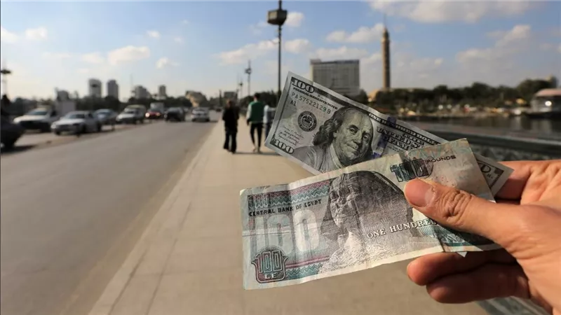 نزل بشكل مفاجئ | سعر الدولار اليوم مقابل الجنيه المصري بالبنوك والسوق السوداء