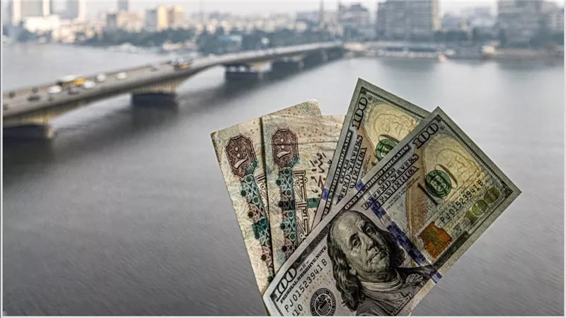 سعر الدولار اليوم مقابل الجنيه المصري بالبنوك وهذا ثمن الـ 100 دولار بالسوق السوداء