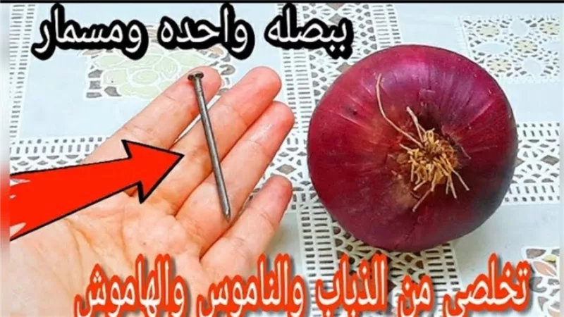 فكرة خطيرة  .. هاتي بصلة ومسمار وتخلصي فورا من النمل والناموس في دقائق بهذه الطريقة 