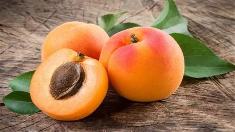 المشمش رغم فوائده المذهله إلا أنه يشكل خطورة على هؤلاء وممنوع عنهم