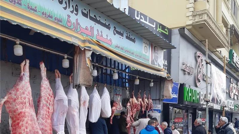 الحكومة تكشف حقيقة طرح 2 كيلو من اللحوم على البطاقات التموينية قبل أيام من العيد