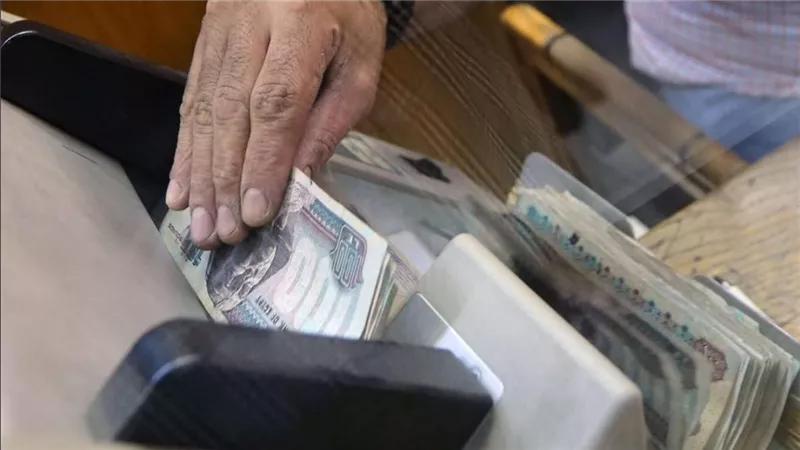 صرف مكافأة لهؤلاء العاملين بالتزامن مع مرتبات يوليو بتوجيهات وزارية 