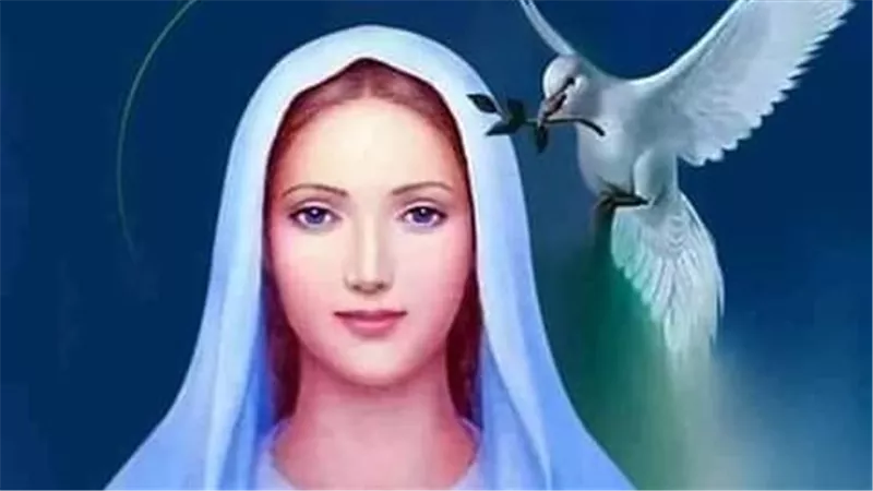 ماذا قال ؟ وقف الانبا ارميا أمام مسيحى ومسلمى مصر يتحدث ويكشف مكانة السيدة العذراء