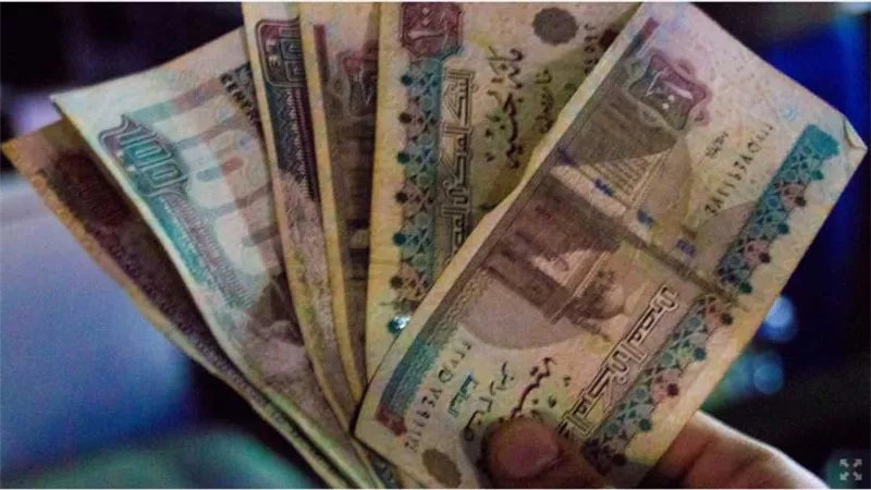 منحة العمالة غير المنتظمة .. كيف تحصل علي 1000 جنيه شهريا بأمر القانون الجديد مزايا بالجملة لهذه الفئات 