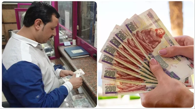 قرار من وزيرة التضامن يزف بشرى سارة لهذه الفئات من أصحاب المعاشات والتطبيق في يوليو