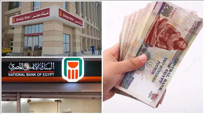 البلاتينية هتصرفلك فلوس بالكوم..  ازاي تكسب 11000 جنيه من البنك الاهلي شهريا بأقوى شهاده فى السوق المصرفى