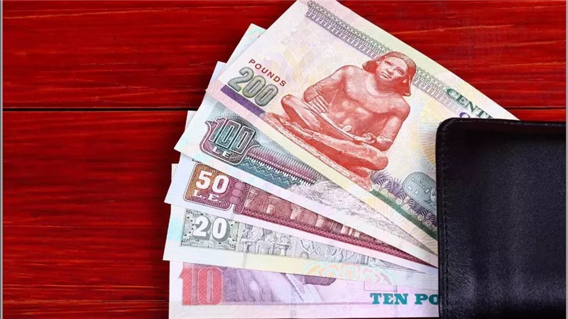 مفاجأة سارة للعاملين: الحكومة تُضاعف منح الأعياد لـ 1500 جنيه .. تعرف على الفئات المستفيدة | شاهد الفيديو