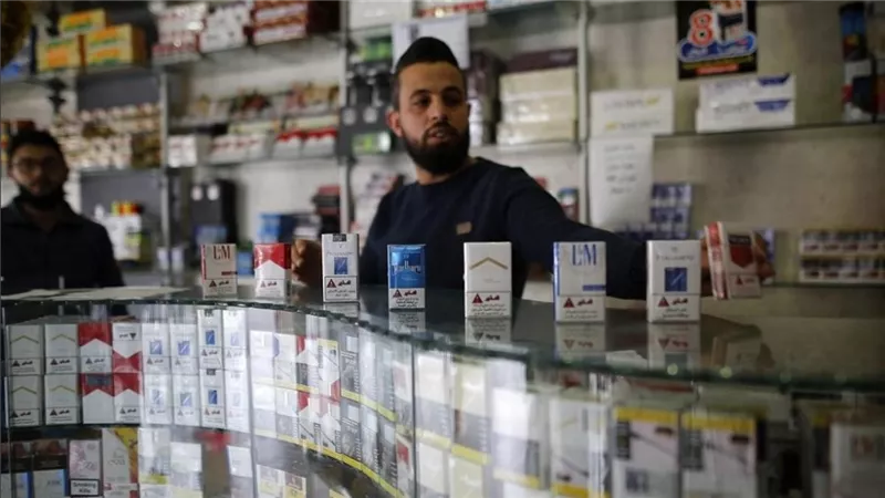 الشرقية للدخان تعلن قائمة أسعار السجائر اليوم 12-10-2024 بعد الزيادات الأخيرة | مارلبورو وكليوباترا وصلت كام النهاردة؟