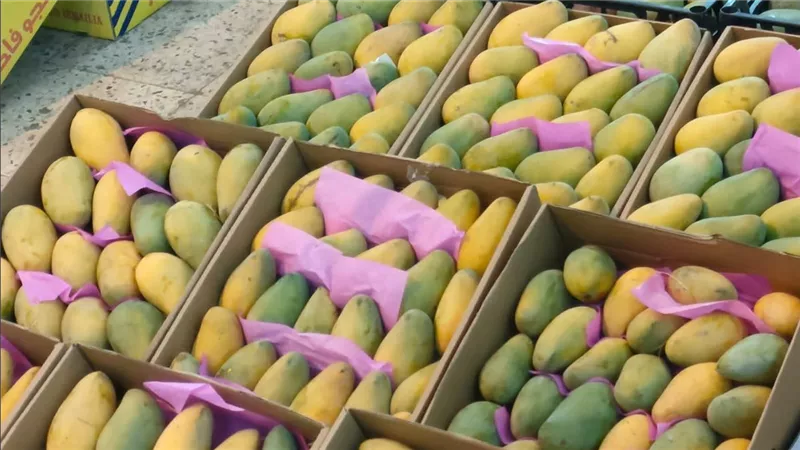 هل انتهى زمن المانجو بأسعارها المعقولة؟ ارتفاع مفاجئ يضرب الأسواق المصرية .. ماهو أغلي أنواعها؟