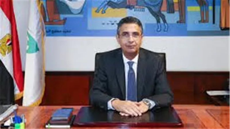اعرف كيفية تخطيط الدولة للتحول لتطبيق الدعم النقدي الكامل.. وزير التموين يشرح