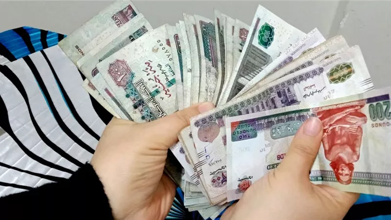 هدية الحكومة  للسيدات .. تحويشة الادخار والإقراض مفاجأة من التضامن لهذه الفئات 