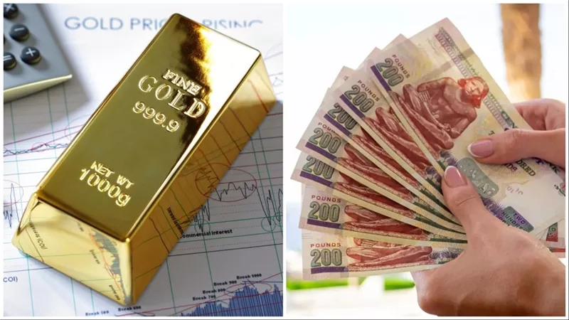 قبل اجتماع المركزي .. حيرة بين المستثمرين: شراء الذهب أم شهادات الاستثمار؟ خبير مصرفي يكشف الإجابة