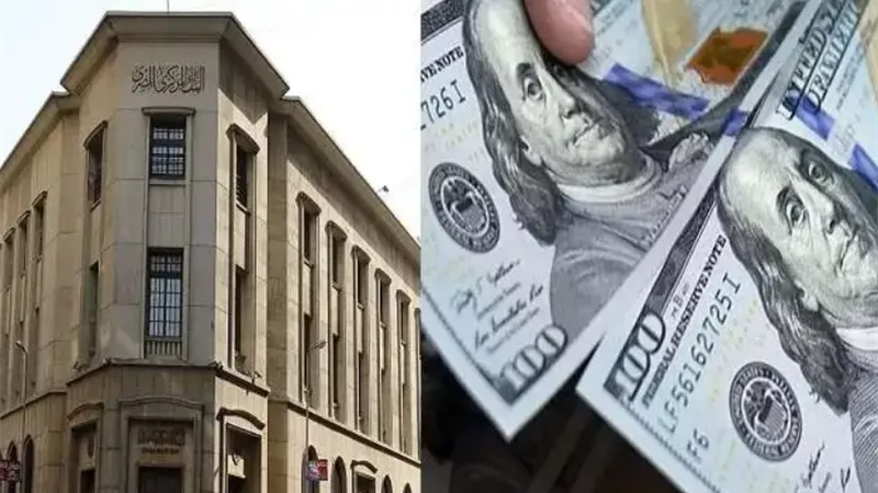 عقب قرار البنك المركزي بشأن الفائدة ما حدث في أسعار صرف الدولار داخل البنوك المصرية الان