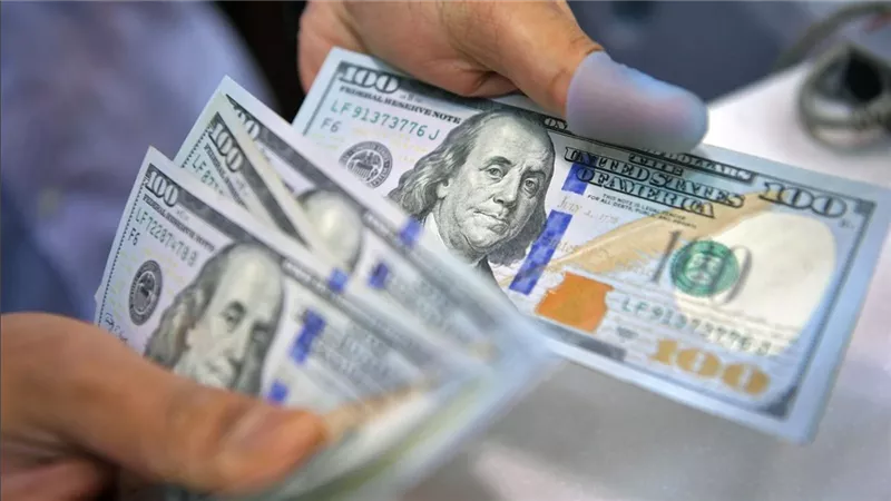 الأخضر بكام النهاردة بعد قرار الفائدة؟ سعر الدولار اليوم الجمعة أمام الجنيه المصري بالبنوك والسوق السوداء