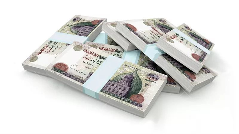 محظوظ لو اشتريتها هتكسب 1000 جنيه عائد شهري .. الشهادة البلاتينية من البنك الأهلي تكتسح السوق المصرفي 