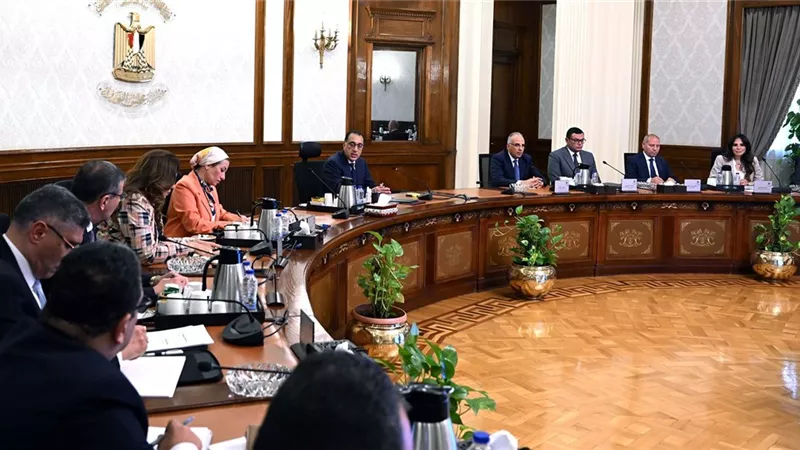 من بينها تركيب عداد كهرباء كودي .. الحكومة تزف أخبار سارة لملايين المواطنين