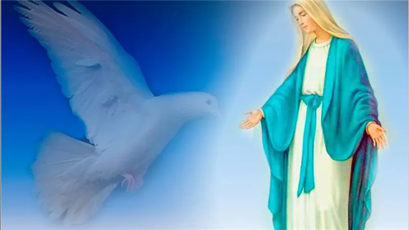 ماهو الموعد الرسمي لبدء صوم العذراء مريم؟ الكنيسة القبطية الأرثوذكسية توضح لجميع الأقباط .. يستمر 15 يوما