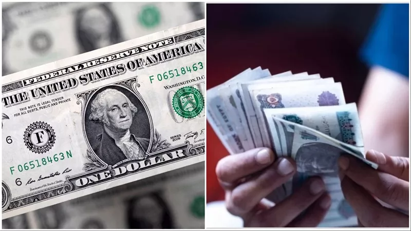 استثمر فلوسك بعائد تصاعدى واقبض بالدولار من البنك الأهلي الكويتي وحساب التوفير الجديد
