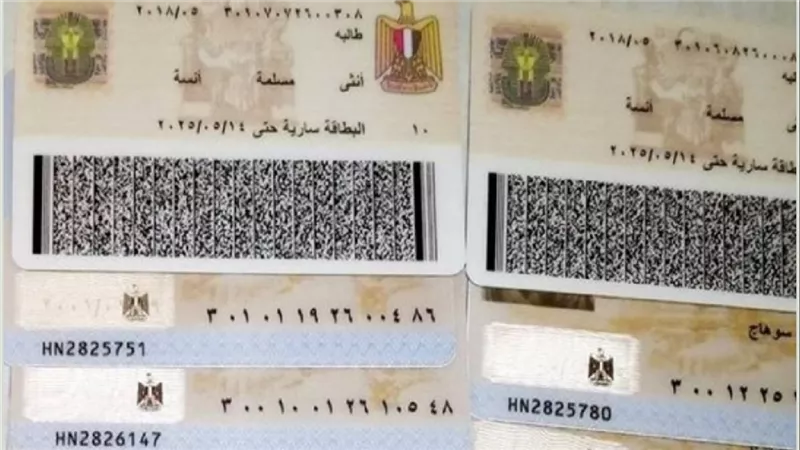 كيف تستخرج وتجدد بطاقة الرقم القومي أونلاين في 2024؟ تعرف على الرسوم والأوراق المطلوبة