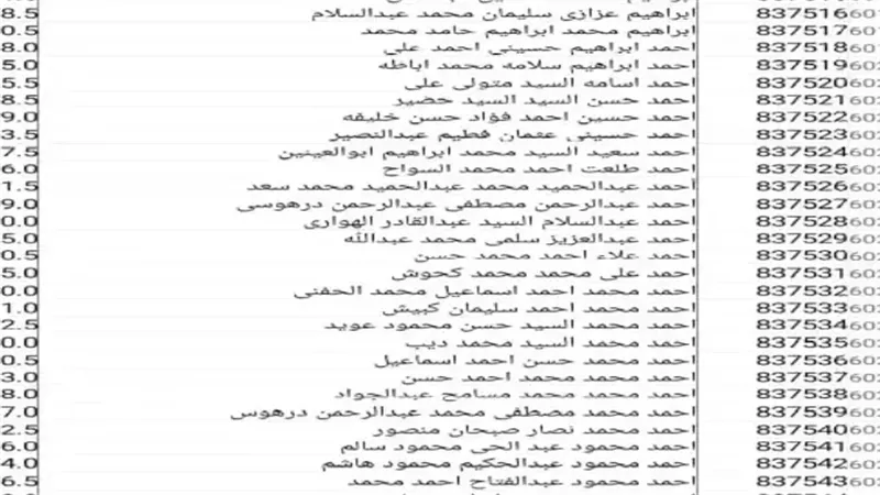 600 طالب جابوا أكتر من 90%.. قصة عجيبة وراء مدرسة الصالحية 