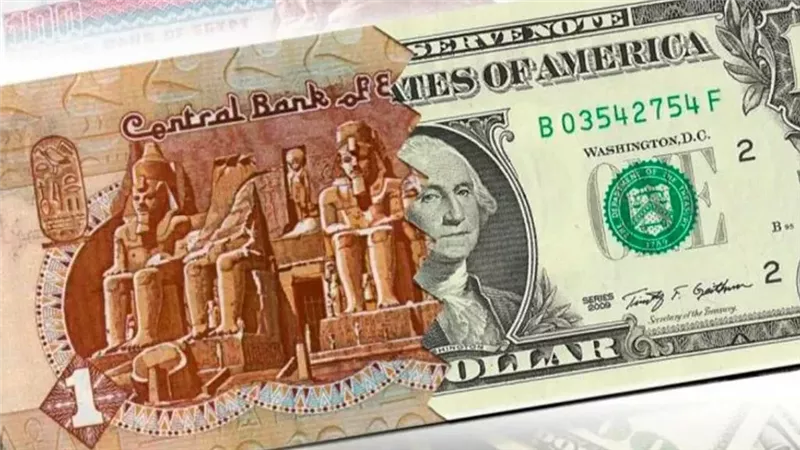 الجنيه المصري يرتفع أمام الدولار الان.. وسعر الدولار يهبط تحت 49 جنيه: ماذا يحدث؟