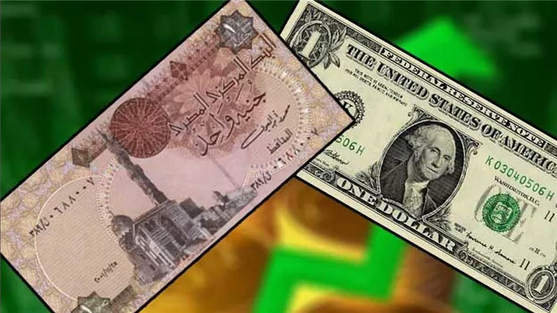 الأخضر بكام النهاردة بعد الانخفاض الأخير؟ سعر الدولار في البنوك والسوق السوداء مقابل الجنيه المصري اليوم الجمعة 16 أغسطس 2024