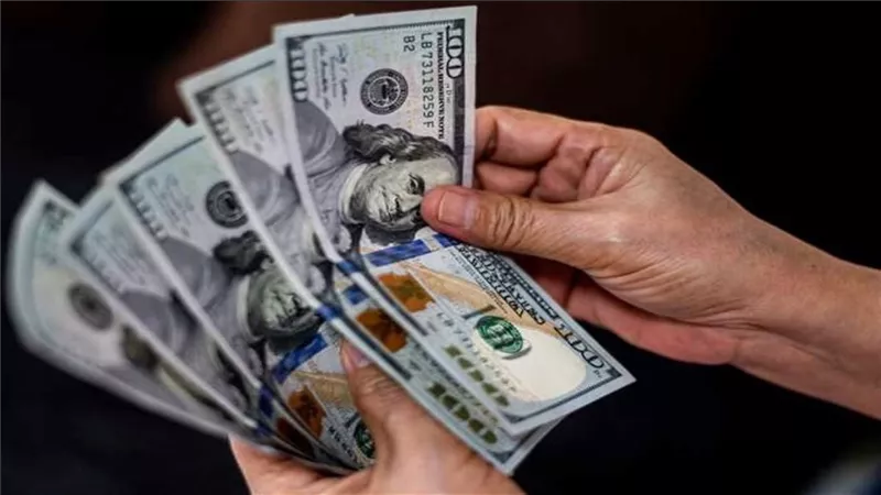 انهيار غير متوقع في سعر الدولار أمام الجنيه المصري في البنوك اليوم 14-8-2024.. الأخضر وصل كام بالسوق السوداء؟