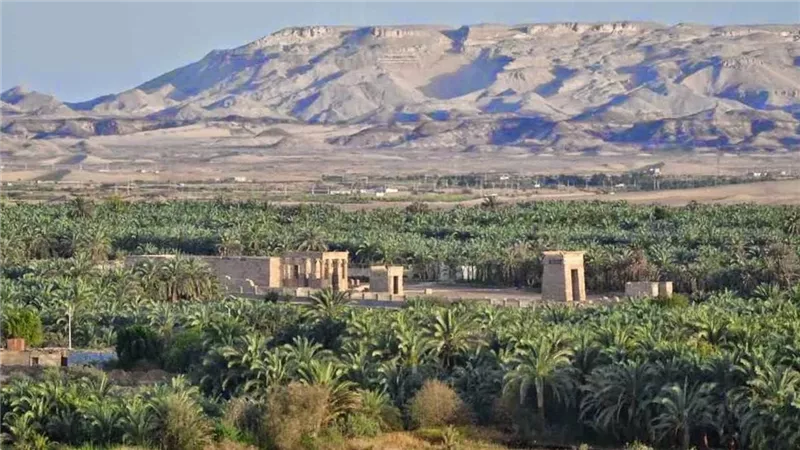 حالة من الرعب تنتشر في محافظة الوادي الجديد بسبب تلك الكائنات المرعبة