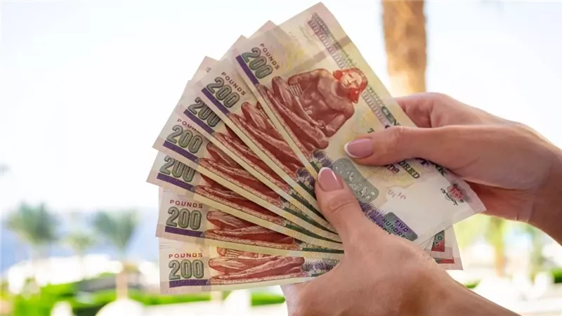 12 شهادة إدخار بنكية: هتكسب عوائد تصل إلى 23.5% وهتشريها بـ 1000 جنيه – هل تبحث عن استثمار مربح؟