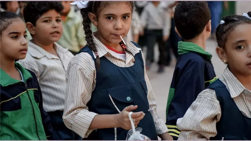تعطيل الدراسة في 38 مدرسة بدسوق لمدة 6 أيام خلال احتفالات مولد العارف بالله إبراهيم الدسوقي