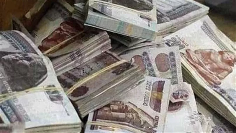 خبير اقتصادي: 10 آلاف جنيه لا تكفي أسرة والدخل المناسب يقترب من 20 ألفًا