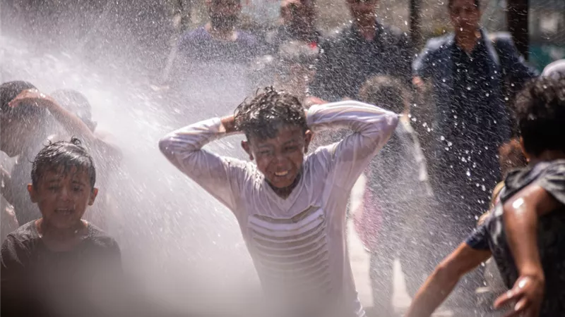 ثعابين الصيف احذروا منها مع ارتفاع درجات الحرارة....رئيس قسم الارشاد البيطري يطلب من الجميع أخذ الحيطة والحذر