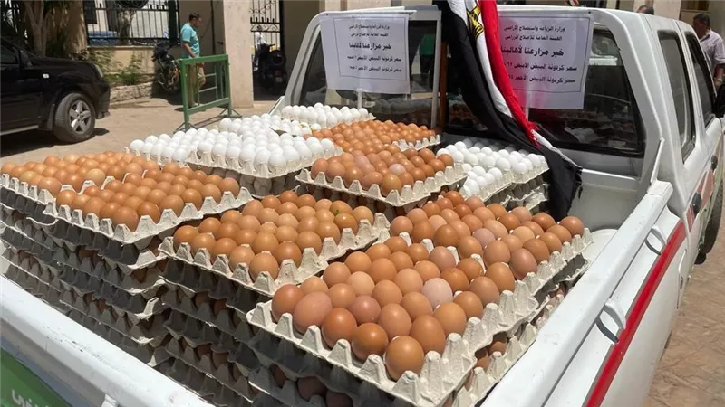 طبق البيض بـ 150 جنيه | أسعار مخفضة لـ 8 سلع أساسية بمنافذ وزارة الزراعة